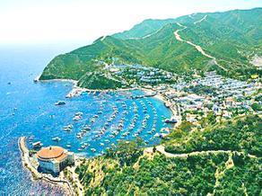 Avalon explores destination options