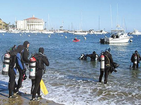 37th Annual Harbor Clean Up event slated for Feb. 24