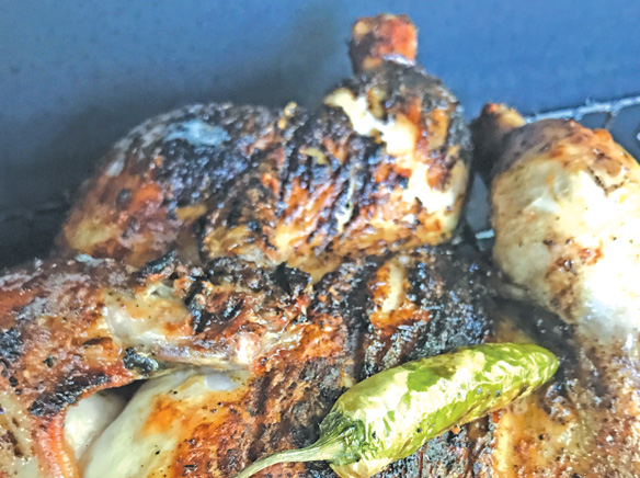 Catalina Cooking: A chicken recipe for when the bears have their picnic