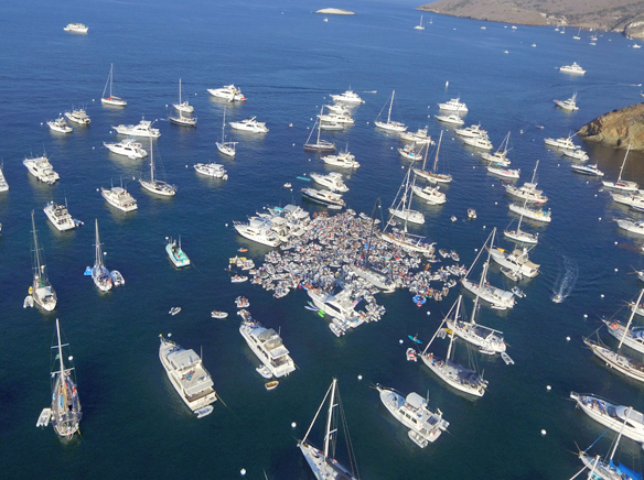 Cherry Cove: true ‘rock’ and ‘roll’