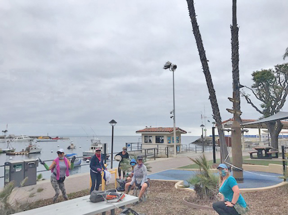‘Adopt A Park’ program begins in Avalon