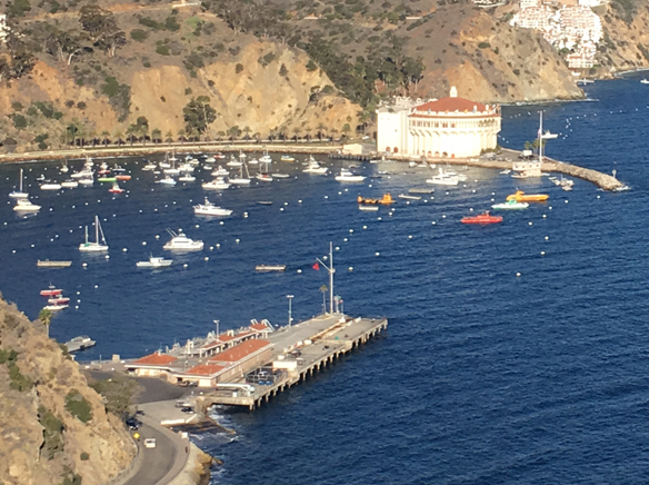 May 2021 visitor data shows ongoing recovery