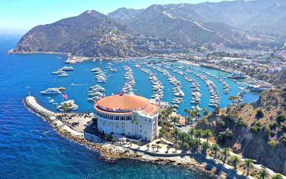 Harbor Activity Report August 2021