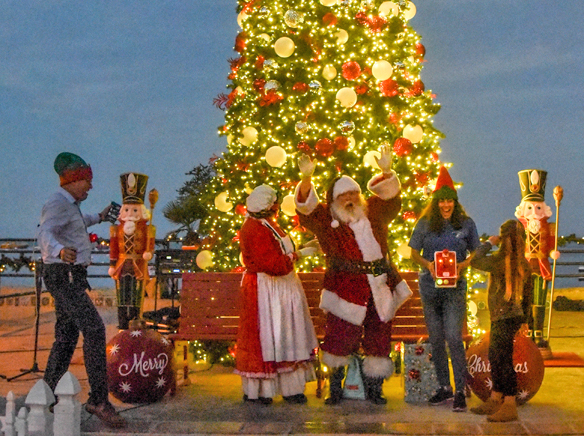 New tree lights up Avalon for Christmas