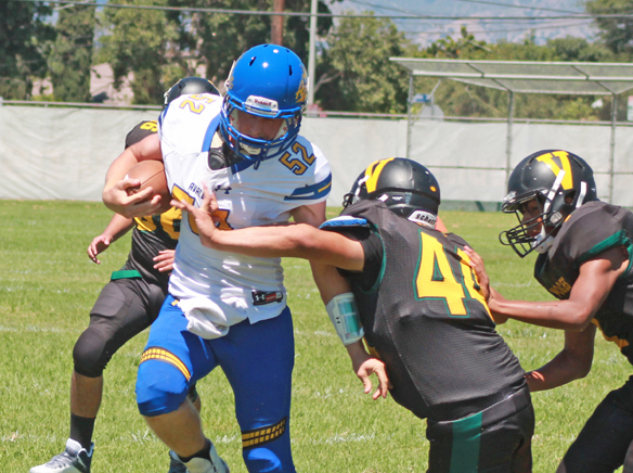 Avalon football too much for Valley Oaks