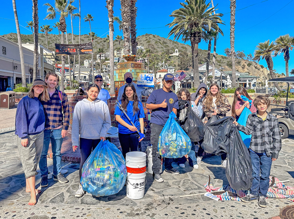 Avalon cleanup makes biggest haul yet