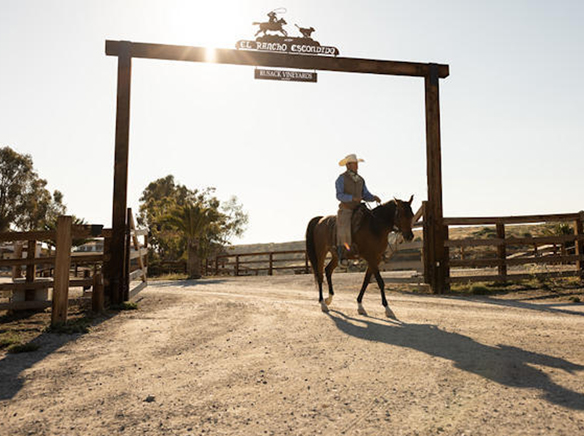 CIC expected to unveil new excursions to Hidden Ranch in March 