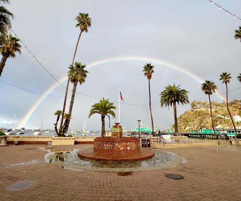 Calm After the Storm
